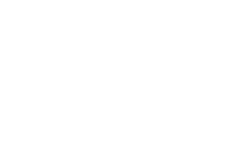 Celebratory Hands Holding New Year's Day Text on Transparent Background