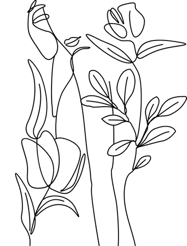 Minimalist Botanical Lineart with Transparent Background - Download Free Stock Videos Pikwizard.com