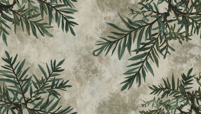 Framing green narrow-leaf branches over aged plaster texture for rustic botanical decor