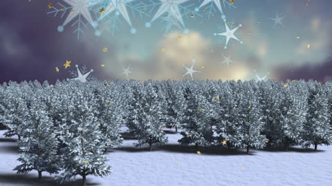 Wintry Wonderland with Falling Stars and Snowflakes