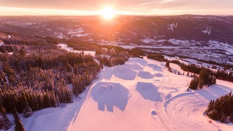 Sunlit Snowy Landscape with Trees and Ski Runs at Sunrise