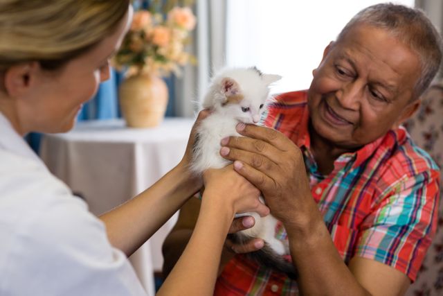Senior man interacting with a female doctor while playing with a kitten at a nursing home. This image can be used to illustrate themes of elderly care, pet therapy, companionship, and the positive impact of animals on mental health. Ideal for healthcare, senior living, and caregiving promotional materials.