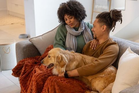 African american couple cuddling with golden retriever on cozy living room sofa