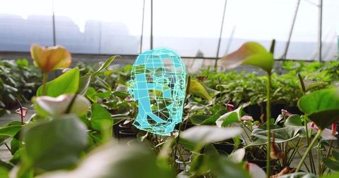 Futuristic cyan wireframe head hologram hovering over greenhouse plants with pink anthuriums