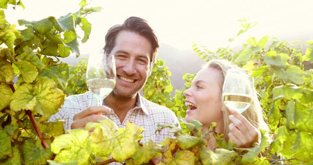 A Caucasian couple enjoys a wine tasting experience amidst the lush vineyard, with copy space. Their cheerful engagement with each other and the setting sun adds a romantic and relaxed ambiance to the scene.