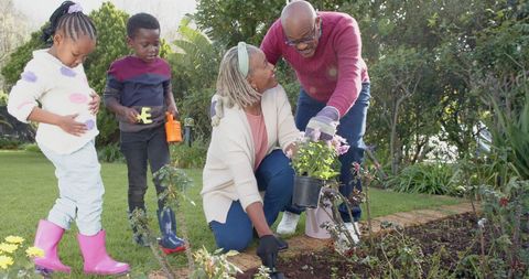 Family Gardening Together in Backyard