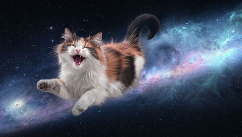 Floating calico cat leaping through colorful galaxy with rim-lit fur and nebula trail