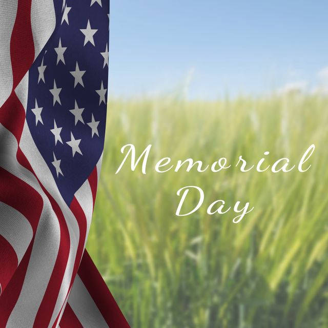 Digital composite image of memorial day text by striped and stars america flag over crop field. patriotism and identity concept.