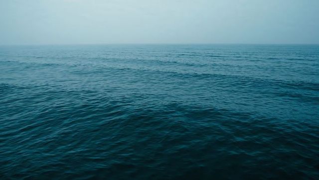 Vast Ocean Horizon with Gentle Ripples Under Muted Sky
