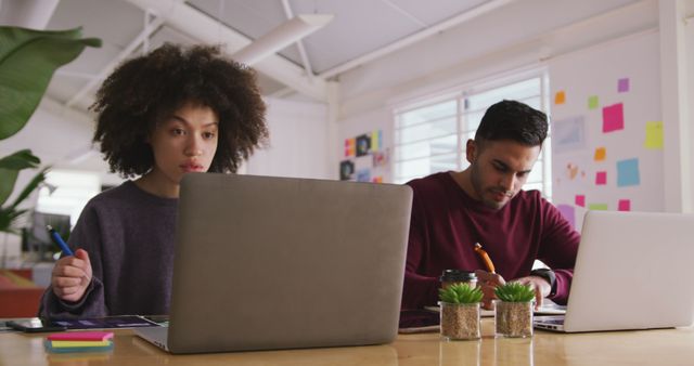 Young diverse professionals concentrating on their tasks while working on laptops in a modern, well-lit office with natural light. The presence of small potted plants suggests a focus on creating a comfortable, inspiring work environment. Ideal for depicting a healthy work culture, collaboration, or a modern work setting in marketing materials, articles, and presentations related to business, technology, and productivity.