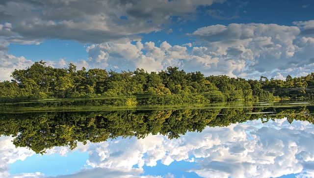 Lush green treeline reflecting on mirror-calm lake under dramatic cumulus cloudscape and serene shor