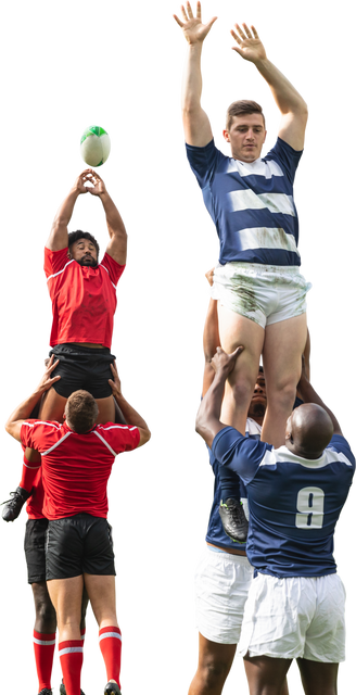 Transparent Diverse Rugby Players in Action During Game - Download Free Stock Videos Pikwizard.com