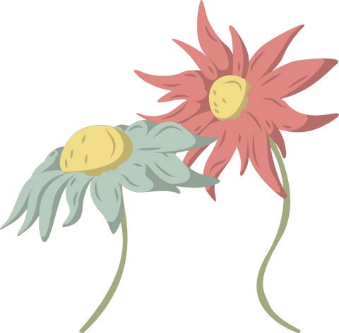 transparent stylized daisy illustration with minimalistic design - Download Free Stock Videos Pikwizard.com