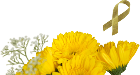 transparent yellow flowers with yellow awareness ribbon png - Download Free Stock Videos Pikwizard.com
