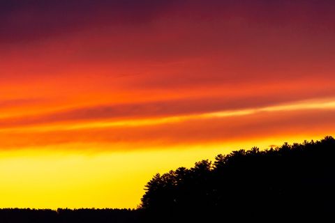 Sunset sky painting warm orange and purple gradient over pine tree silhouette horizon
