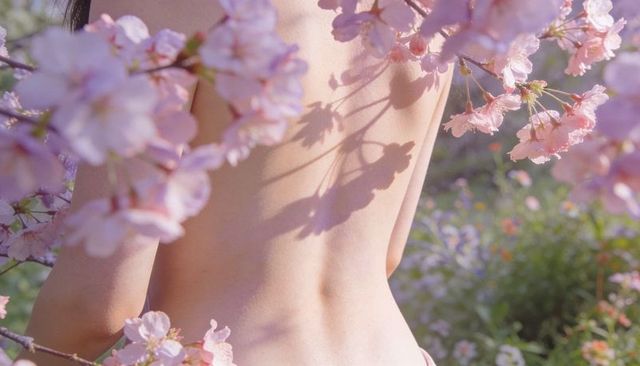 Soft backlit bare back framed by pink cherry blossoms with delicate floral shadow play