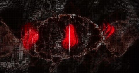 digital fingerprint and brain scan with glowing red data - Download Free Stock Images Pikwizard.com