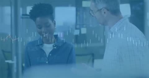 Professional Mentorship in Data Analysis Session