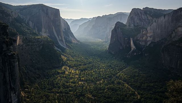 Sunlit forested canyon valley between sheer cliffs overlook panoramic vistas