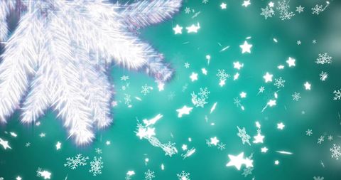 Festive White Fir Tree Branches on Twinkling Blue Background