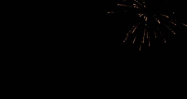 Golden fireworks burst against a dark night sky. Outdoor celebrations often feature such dazzling pyrotechnics.