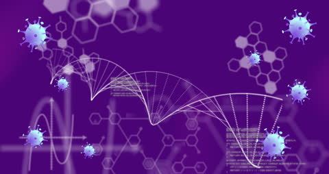Digital Visualization of COVID-19 with DNA and Data Patterns