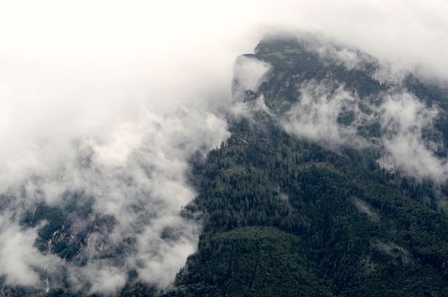 Perfect for nature enthusiasts or businesses promoting outdoor adventures, this photo captures the mysterious allure of a cloud-covered mountain peak surrounded by dense forest. Ideal for use in travel blogs, environmental campaigns, or landscape art