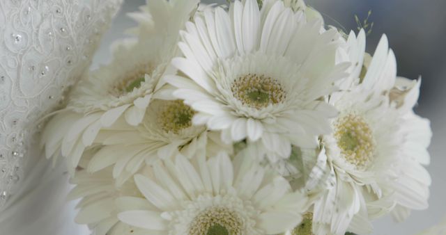 Elegant white gerbera flower bouquet adds grace to wedding ceremonies, decor, and events. Useful for floral arrangements, bouquets and elegant decorations, this can be used in print and digital invitations, greeting cards or event promotions.