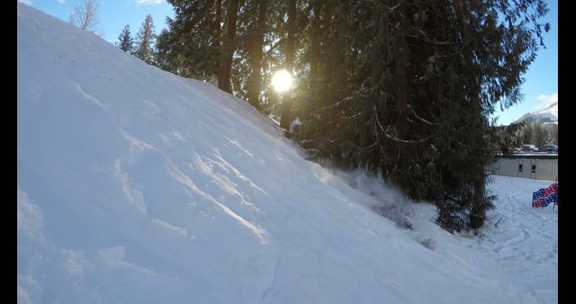 Sunlight Breaking Through Trees Over Snowy Slope - Download Free Stock Images Pikwizard.com