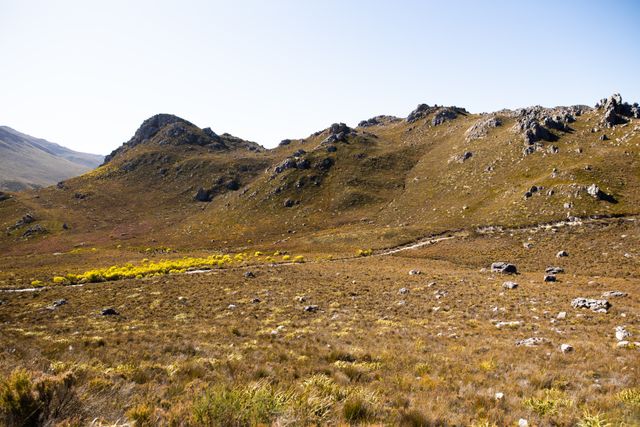 This image captures a stunning mountain landscape with a hiking trail on a sunny day under a clear blue sky. Ideal for use in travel blogs, outdoor adventure promotions, nature magazines, and websites focused on hiking and trekking. The serene and remote setting makes it perfect for illustrating the beauty of natural landscapes and promoting outdoor activities.