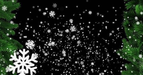 Falling snowflakes framing evergreen pine branches on black background for holiday design