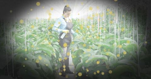 Female grower inspecting greenhouse plants with spray bottle and protective gloves