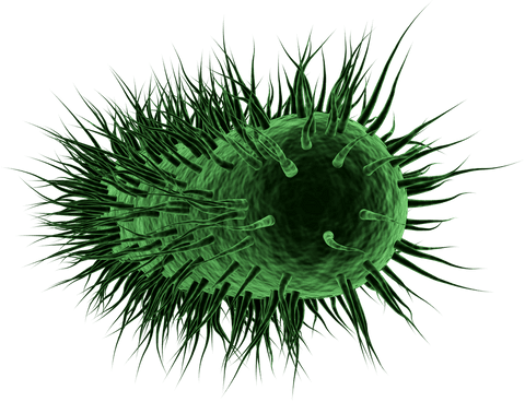 3d transparent structure of green virus cell illustration - Download Free Stock Videos Pikwizard.com