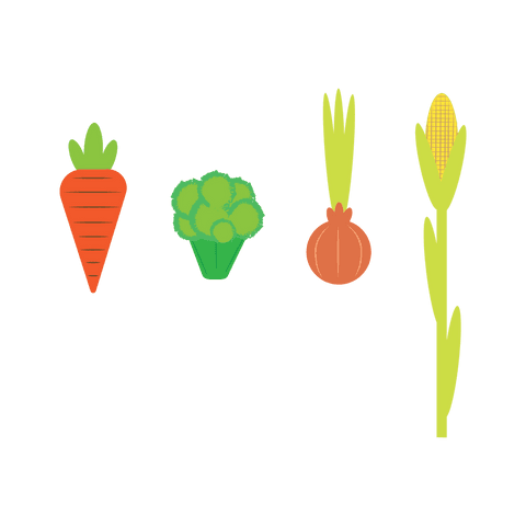 transparent vector illustration of carrot, broccoli, onion and corn - Download Free Stock Videos Pikwizard.com