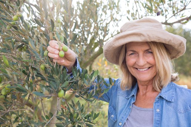 Mature woman wearing hat and denim shirt harvesting olives from tree, smiling at camera. Ideal for use in agricultural promotions, rural lifestyle blogs, gardening tips, and nature-related content.