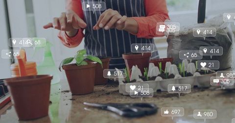 Woman potting seedlings on sunny windowsill with social media overlays for garden brands