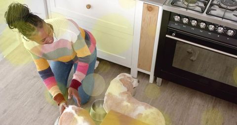 Kneeling woman feeding two dogs in bright kitchen sharing warm pet care moment