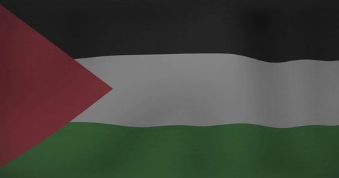 Palestine Flag Waving Against Neutral Background