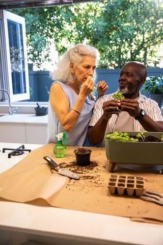 Diverse Senior Couple Planting Herbs Indoors