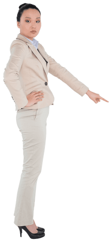 transparent serious asian businesswoman pointing authoritatively - Download Free Stock Videos Pikwizard.com