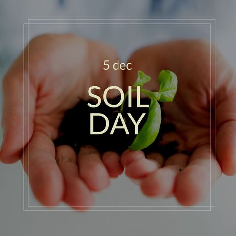 Celebration of Soil Day with Seedling in Hands - Download Free Stock Templates Pikwizard.com