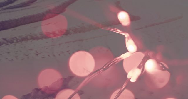 Glowing Pink Fairy Lights in Winter Landscape - Download Free Stock Images Pikwizard.com