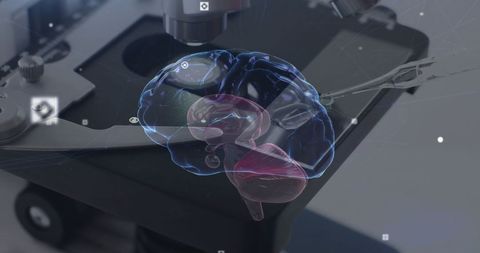 Digital Brain Scan Visualization with Microscope and Data Overlay - Download Free Stock Images Pikwizard.com