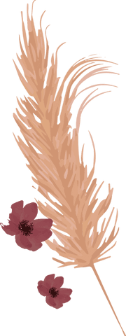 Elegant pampas grass and burgundy flowers on transparent background
