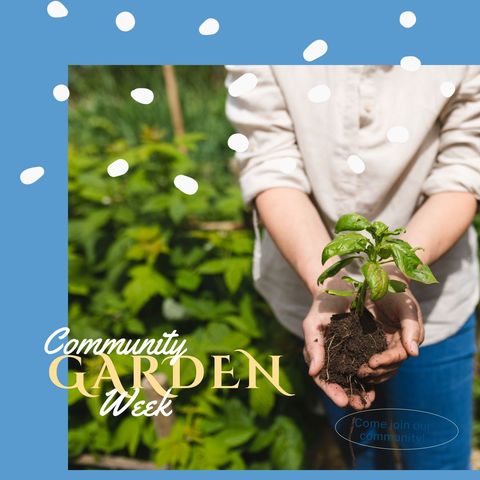 celebrating community garden week in bloom - Download Free Stock Templates Pikwizard.com