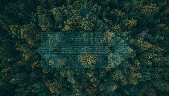Teal holographic grid hovering over drone view of dense forest canopy, environmental tech