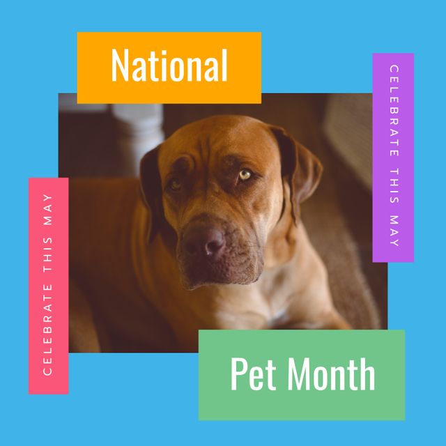 National Pet Month Celebration Featuring Rhodesian Ridgeback - Download Free Stock Templates Pikwizard.com