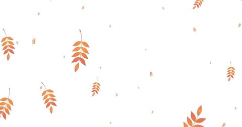 Autumn leaves floating on white backdrop
