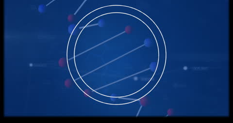 Digital DNA Analysis with Abstract Data Visualization