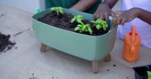 Child and adult planting seedlings in sage green planter for family gardening bonding
